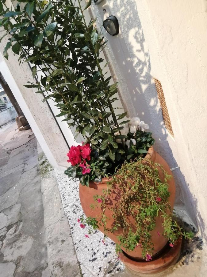 Relax Santa Cecilia Apartman Gravina in Puglia Kültér fotó